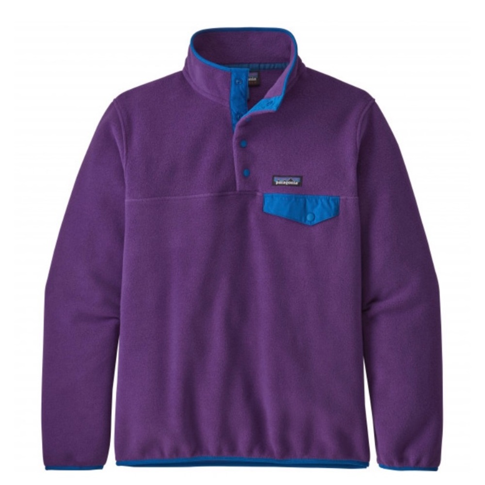 Purple Patagonia Synchilla Sweater